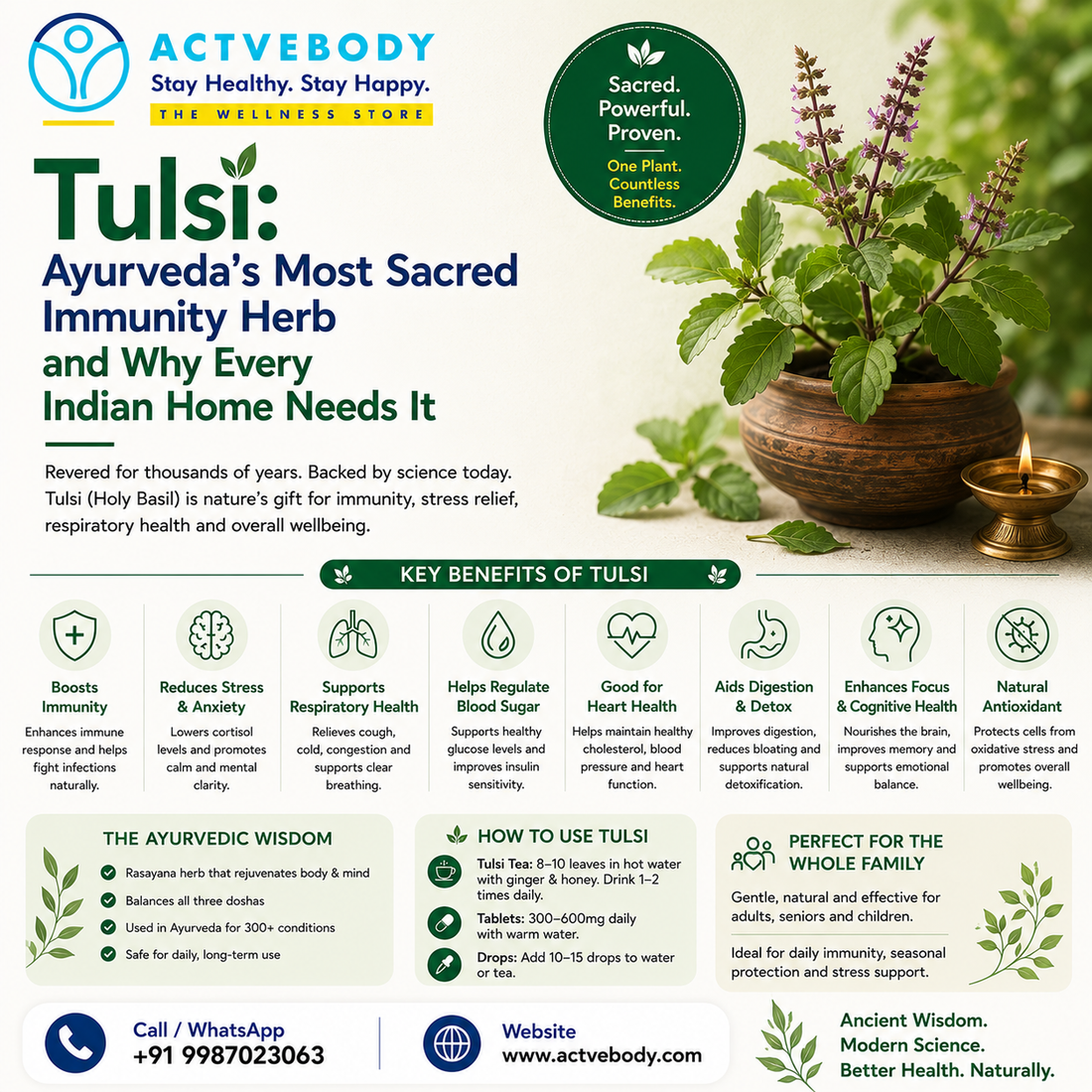 Tulsi: Ayurveda's Most Sacred Immunity Herb and Why Every Indian Home Needs It