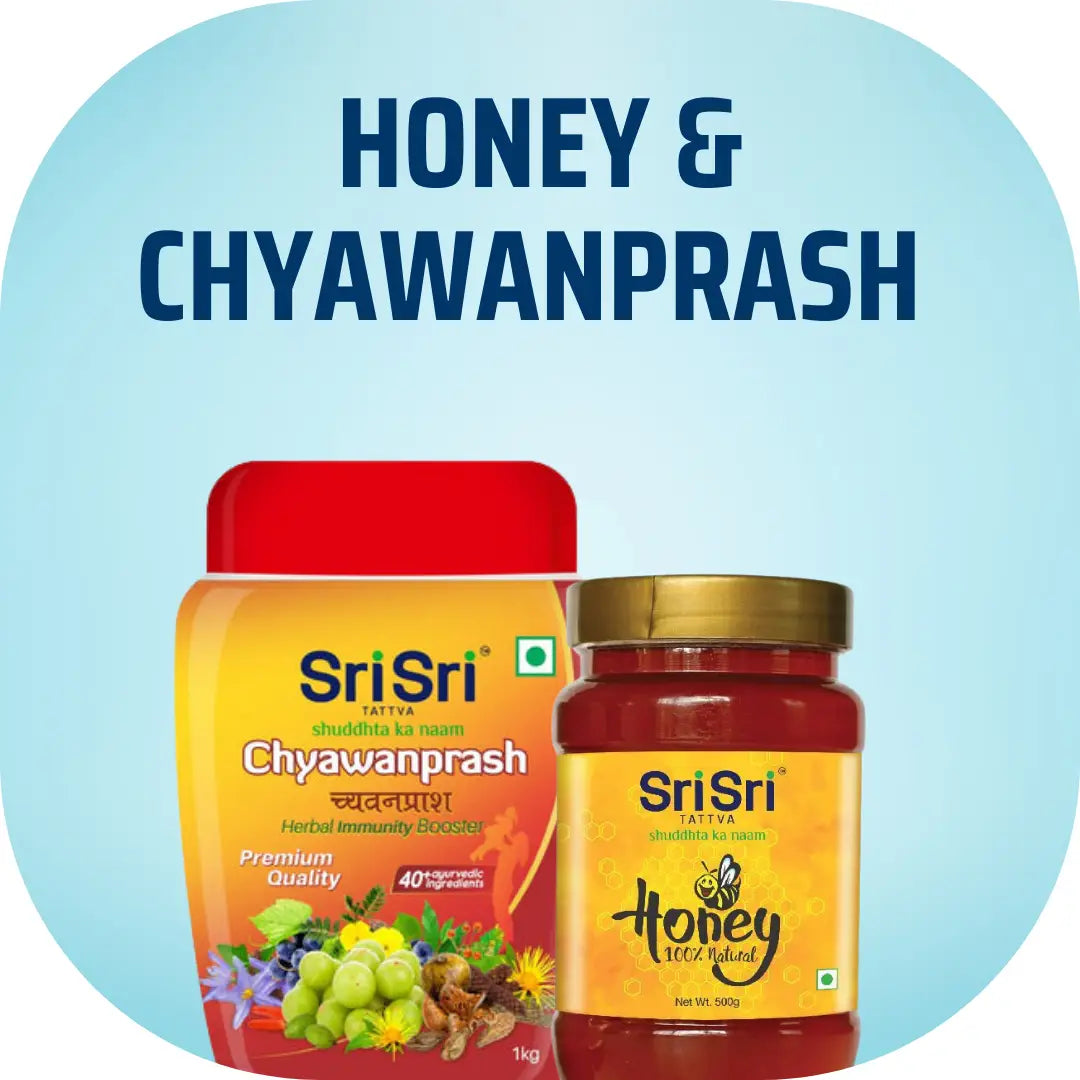 Ayurvedic Chywanprash Honey Immunity Booster Jam 450g – ACTVEBODY