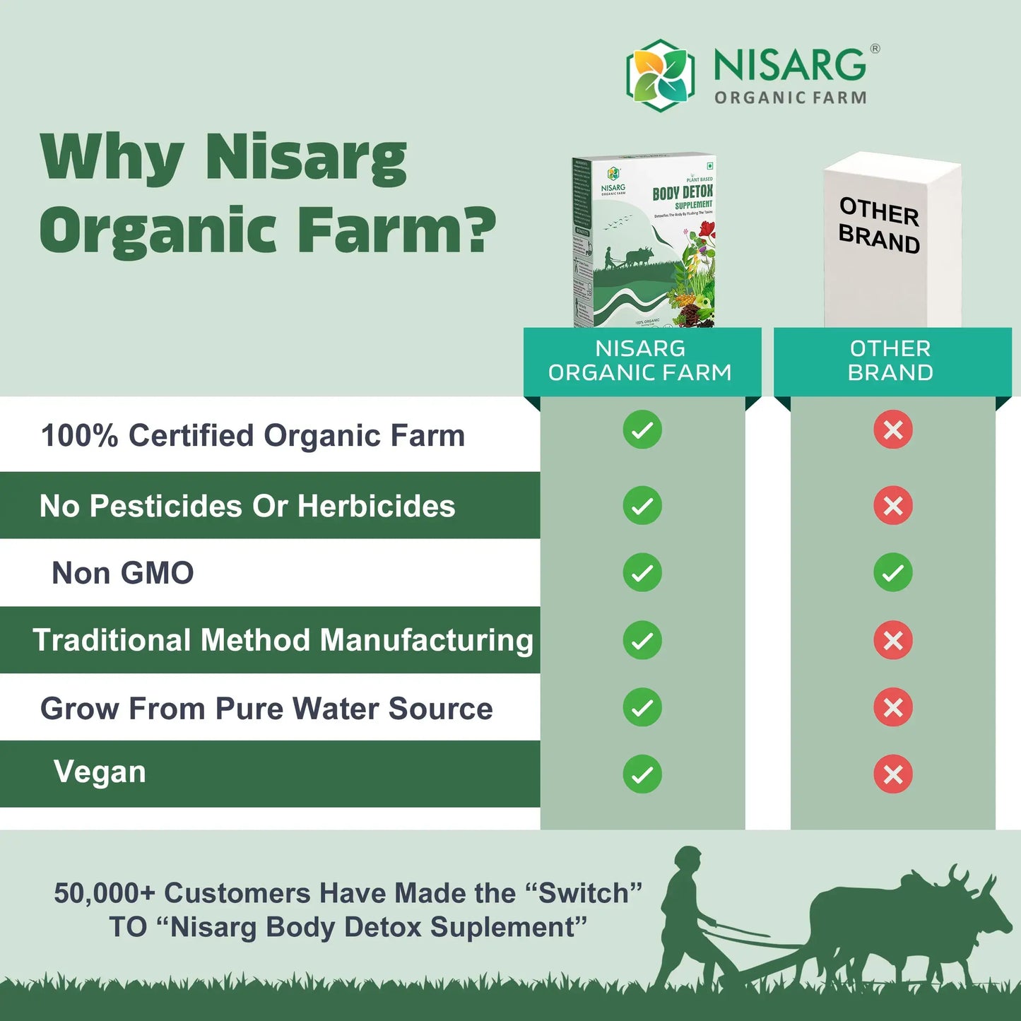 Body Detox Blood Purifier | Body Detox Supplement 100g | Nisarg Organic Farm