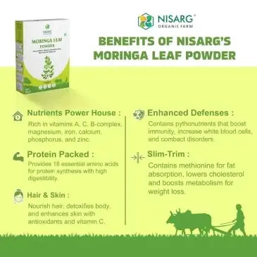 Moringa Leaf Powder | Pure & Organic 100g | Nisarg Organic Farm