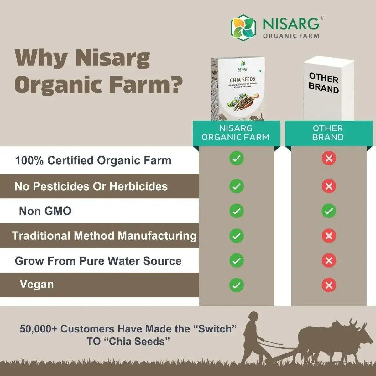 Organic Chia Seeds 100g | Nisarg Organic Farm