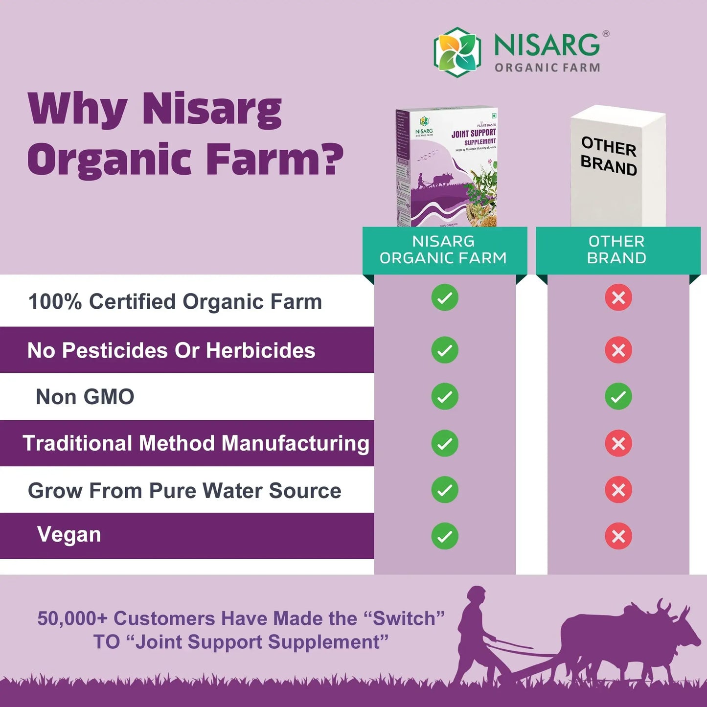 Organic Joint Support Supplements | Supplements for Arthritis 100g | Nisarg Organic Farm
