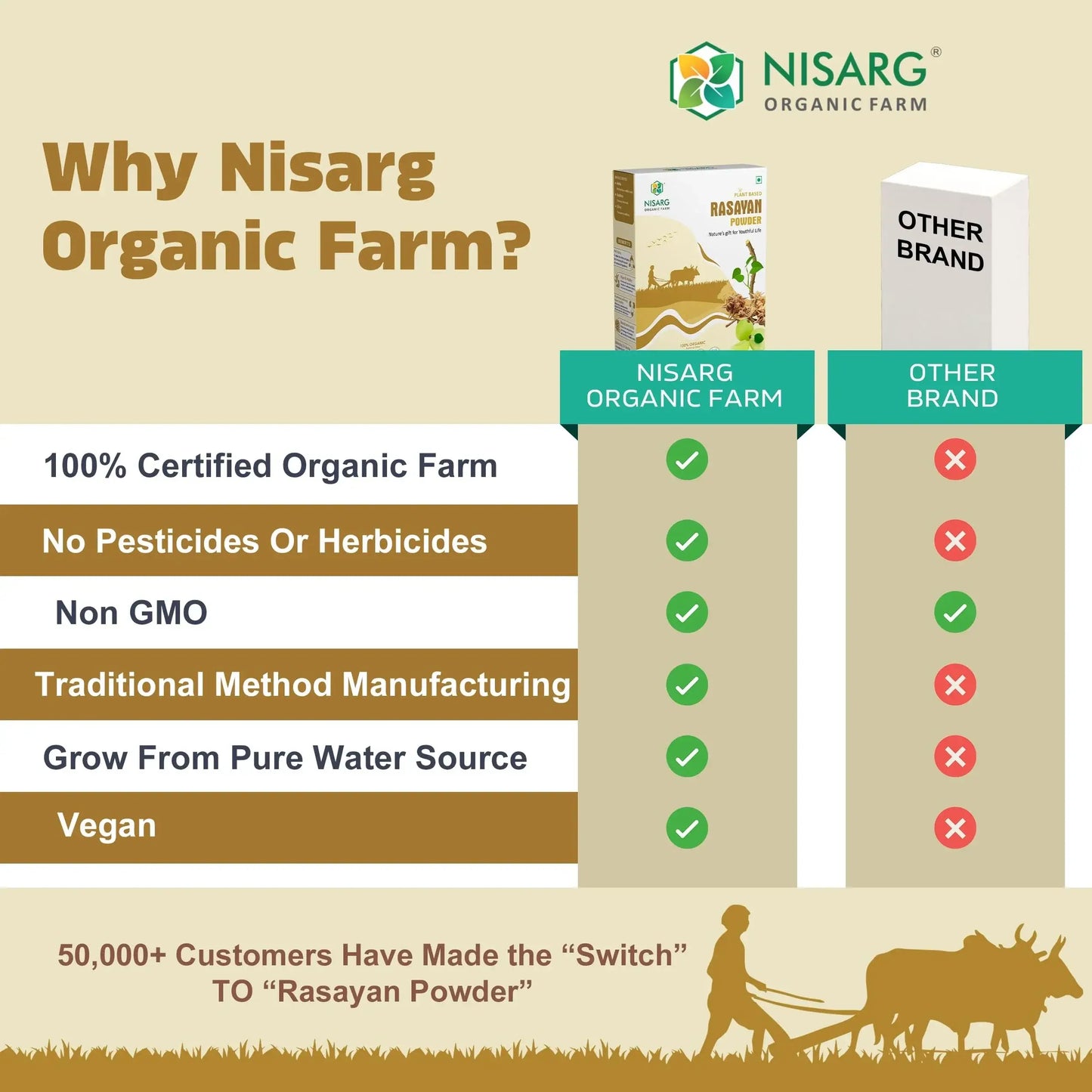 Rasayan Powder (Churna) | Imporve Immune | For Constipation 100g | Nisarg Organic Farm