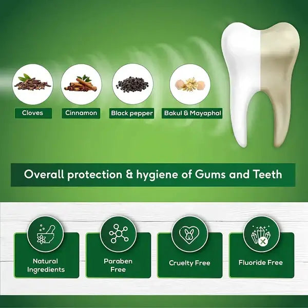 Sudanta Toothpaste 200g | Sri Sri Tattva - Personal Care