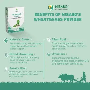 Wheat grass powder benefits